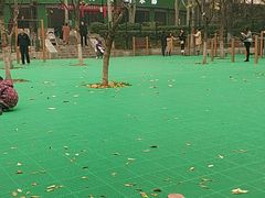 -西安市长乐公园
