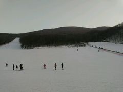 -五家山森林公园滑雪场