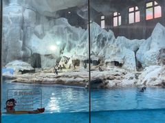 -帝企鹅自助餐厅•儿童岛•真企鹅(长隆企鹅酒店)