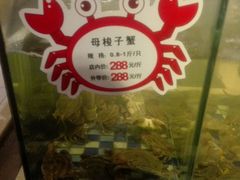 -东营蓝海御华大饭店渔歌舫(潍河路店)
