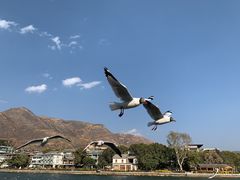 -南诏风情岛