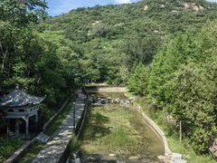 -白水寺森林公园