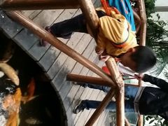 android_upload_pic-上海大自然野生昆虫馆