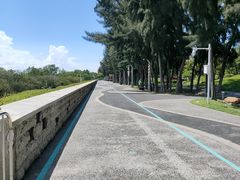 -宝安西湾红树林湿地公园