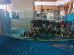 -悦海楼(三衢路店)