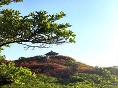 -大围山国家森林公园