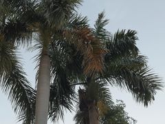 -广州市白云山风景名胜区