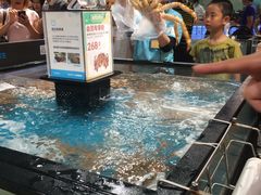 -盒马鲜生(曜一城店)