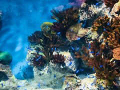 -福州罗源湾海洋世界旅游区