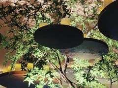 -赤火牛排(金狮广场店)