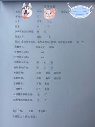 -复旦大学附属妇产科医院(黄浦院区)