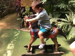 -呀路古热带植物园