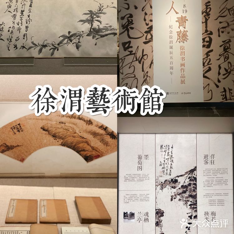 徐渭艺术馆，绍兴文旅新地标🔥，好看又好拍的博物馆