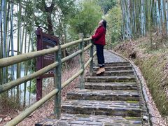 -苏家围·东江画廊旅游景区