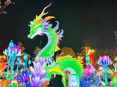 -花博汇(知音花月夜)