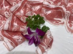-草原传奇鲜羊火锅(桥北店)