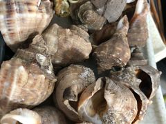 -兆辉木炭海鲜烧烤·海鲜小炒