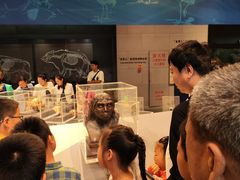 -北京周口店北京人遗址博物馆