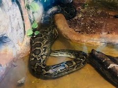 -海南热带野生动植物园