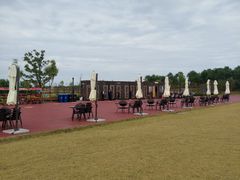 -春花秋色城市公园