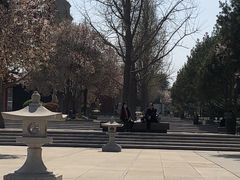 -大雁塔北广场音乐喷泉