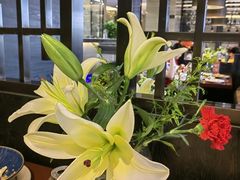-RELLMAN莱尔曼扒房(黄埔店)