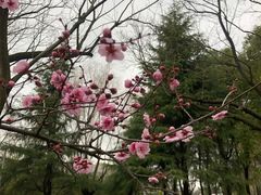 -白塘生态植物园