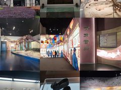 -衢州市博物馆