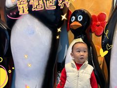 -芜湖新华联大白鲸海洋公园