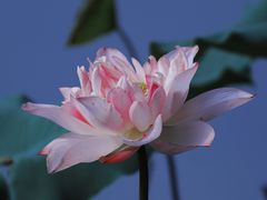 -烈士陵园(地铁站)