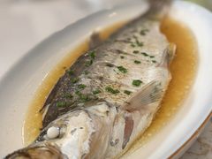 白水鱼-旺山·浪头人家