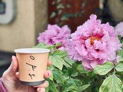 -O.P.S. CAFE