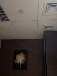 -DR REBORN美容·养发·身体
