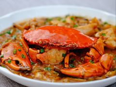 -Hi City·城市之巅