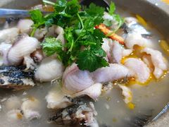 大鼎石锅鱼-大鼎石锅鱼(春江里店)