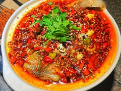 -酒肉行·虎子盐筋烤肉(大寨路店)