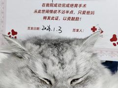 -御宝贝24h宠物医院·转诊中心·CT核磁血透中心(厦门总院)