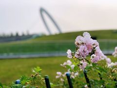 -南京国际青年文化中心