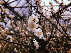 -北京鹫峰国家森林公园