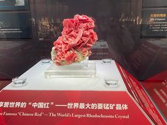 -湖南省地质博物馆