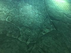 -白鹤梁水下博物馆