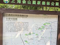 -上海佘山国家森林公园天马山园