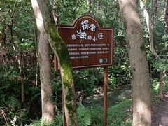 -同里国家湿地公园