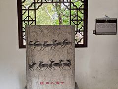 -上海醉白池公园