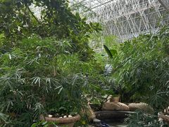 -秦皇岛阿尔卡迪亚滨海度假酒店