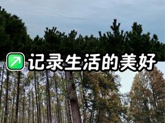 -日照海滨国家森林公园