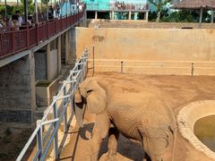 -西霞口神雕山野生动物世界