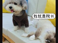 -美迦爱-牙专科·兔科·骨科诊疗中心(北苑店)
