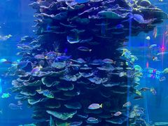 -泉城欧乐堡海洋极地世界