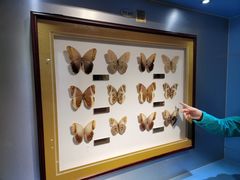 -上海昆虫博物馆